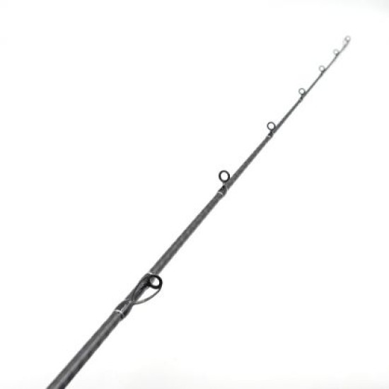 Daiwa Legalis Slow Jigging Baitcasting 1.98m 250gr