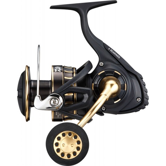 Daiwa BG SW 4000