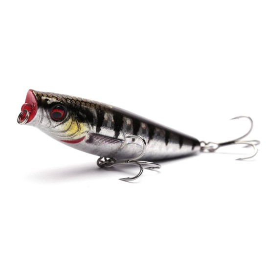 Savage Salt Pop Walking 8cm 15.5gr Baraccuda